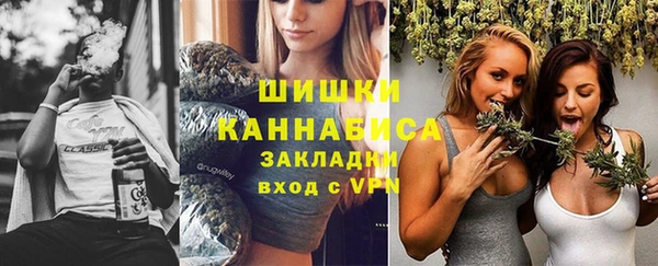 СК Волосово