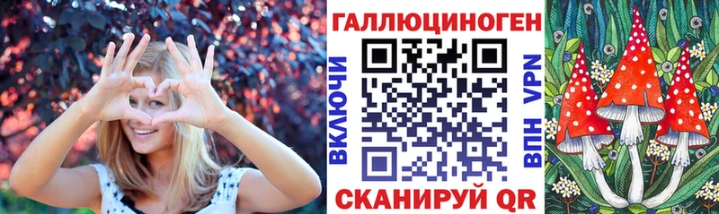 Купить  Кумертау  Псилоцибиновые грибы Psilocybe 